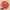 https://res.cloudinary.com/billionhands/image/upload/v1769098066/items/xeeyr0l5jsztbd3hmmf9.jpg-0cover