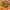 https://res.cloudinary.com/billionhands/image/upload/v1769098769/items/l9kvealcdyubvb3oinxz.jpg-3cover