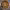 https://res.cloudinary.com/billionhands/image/upload/v1769098771/items/vmsd6ukdk3wrghi92n8w.jpg-3cover
