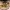 https://res.cloudinary.com/billionhands/image/upload/v1769099570/items/evxyd0os6auzfveg7cyg.jpg-1cover