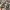 https://res.cloudinary.com/billionhands/image/upload/v1769099574/items/vrstdups3v5nuthugjx0.jpg-3cover