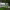 https://res.cloudinary.com/billionhands/image/upload/v1769099578/items/aftpfdmtfqsijovqo7by.jpg-2cover