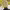 https://res.cloudinary.com/billionhands/image/upload/v1769099578/items/ctzp2glrkegqmu6bghmy.jpg-2cover