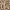 https://res.cloudinary.com/billionhands/image/upload/v1769099935/items/ae0lfce4umb988ju8nnp.avif-1cover