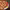 https://res.cloudinary.com/billionhands/image/upload/v1769099954/items/xcziilc0hplpd0kqjo7t.webp-0cover