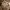 https://res.cloudinary.com/billionhands/image/upload/v1769100471/items/iuo7fpyukioefqufvydu.avif-2cover