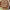 https://res.cloudinary.com/billionhands/image/upload/v1769100486/items/he20mzedbm6hvvkjzkeg.jpg-0cover