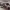 https://res.cloudinary.com/billionhands/image/upload/v1769100487/items/hs16kapfsadjlpvcig0s.jpg-1cover