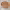 https://res.cloudinary.com/billionhands/image/upload/v1769100487/items/s9r0fgvyh9naefbc2c8s.jpg-1cover