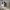 https://res.cloudinary.com/billionhands/image/upload/v1769100781/items/ja8vx3awxj7qnvmcc9zr.jpg-0cover