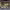 https://res.cloudinary.com/billionhands/image/upload/v1769100781/items/mzmjexcxkngou3ejewbt.jpg-1cover