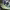 https://res.cloudinary.com/billionhands/image/upload/v1769100787/items/veatoaiqmotmcarz3c9q.jpg-2cover