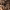https://res.cloudinary.com/billionhands/image/upload/v1769100809/items/bctcavlzdyeedqft6igd.jpg-1cover