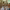 https://res.cloudinary.com/billionhands/image/upload/v1769100810/items/m1dgrpobyktkrn8gcv0w.webp-1cover