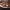 https://res.cloudinary.com/billionhands/image/upload/v1769100999/items/ye4jx8y1tfvj27pyphco.jpg-1cover
