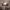 https://res.cloudinary.com/billionhands/image/upload/v1769101008/items/cjtkficeeymkgk7vgeos.jpg-2cover