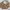 https://res.cloudinary.com/billionhands/image/upload/v1769101471/items/ctgdhjgfgagvuyd6rfld.jpg-3cover