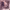 https://res.cloudinary.com/billionhands/image/upload/v1769148357/items/keqhf4oc949sbtmkgyn1.jpg-0cover