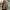 https://res.cloudinary.com/billionhands/image/upload/v1769148359/items/ngjoixnrkpliveyrukex.webp-1cover
