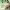 https://res.cloudinary.com/billionhands/image/upload/v1769153480/items/m6oddry2opjycwxorvv1.jpg-1cover