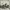 https://res.cloudinary.com/billionhands/image/upload/v1769153483/items/ngaxnhxdojncecd4ekt3.webp-2cover