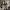 https://res.cloudinary.com/billionhands/image/upload/v1769153496/items/zayqgbhcue7k7opj9qew.webp-2cover