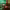 https://res.cloudinary.com/billionhands/image/upload/v1769153508/items/lf51ghyjmyhcvvyyswts.jpg-1cover