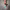 https://res.cloudinary.com/billionhands/image/upload/v1769153536/items/vwbvmu3v39svyke9eszu.jpg-3cover