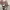 https://res.cloudinary.com/billionhands/image/upload/v1769239399/items/ymde3nfxvev8f8w9whsr.jpg-0cover