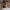 https://res.cloudinary.com/billionhands/image/upload/v1769239411/items/oaz41wesyxd7g1vftxrz.jpg-2cover