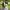 https://res.cloudinary.com/billionhands/image/upload/v1769239417/items/qv750gmdg6hhgz3qu2em.webp-2cover