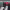 https://res.cloudinary.com/billionhands/image/upload/v1769239422/items/lmggjucvesrbzfodpenr.jpg-0cover