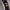 https://res.cloudinary.com/billionhands/image/upload/v1769239423/items/kggbagtuubjklltucikp.jpg-2cover