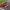 https://res.cloudinary.com/billionhands/image/upload/v1769239426/items/wwdrcidfsroyqzmlckai.webp-3cover