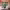 https://res.cloudinary.com/billionhands/image/upload/v1769239429/items/xqebub0zhqip41llfzda.jpg-1cover