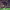 https://res.cloudinary.com/billionhands/image/upload/v1769325774/items/yiyiqb3jiztwswyz4wow.webp-1cover