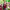 https://res.cloudinary.com/billionhands/image/upload/v1769325790/items/ntcrmdlfnzssedddrzd9.avif-2cover
