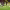 https://res.cloudinary.com/billionhands/image/upload/v1769325792/items/t5c0ri2ivxsdrgkwixle.jpg-2cover