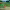 https://res.cloudinary.com/billionhands/image/upload/v1769325799/items/to2fp2dsln4qjldl8ra3.jpg-0cover