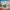 https://res.cloudinary.com/billionhands/image/upload/v1769325800/items/jjpmy2vfxvm2r6bxy5dx.webp-1cover