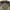 https://res.cloudinary.com/billionhands/image/upload/v1769336573/items/bbrvwihyjcp7ubt4af0y.jpg-1cover