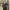 https://res.cloudinary.com/billionhands/image/upload/v1769412156/items/czkdjearxrmw5pvavixh.jpg-1cover