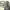 https://res.cloudinary.com/billionhands/image/upload/v1769412187/items/dwhd61hbm2gwemx7vzbo.jpg-1cover