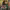 https://res.cloudinary.com/billionhands/image/upload/v1769412194/items/akbqr070o2dbdtcts2fr.jpg-2cover
