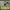 https://res.cloudinary.com/billionhands/image/upload/v1769412214/items/dxrtrkglq9jiitswnhcx.jpg-2cover