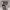 https://res.cloudinary.com/billionhands/image/upload/v1769412214/items/imbqugnjqwnjpqaz4kwn.jpg-3cover