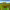 https://res.cloudinary.com/billionhands/image/upload/v1769417751/items/ksd0jfmxzu6gr5ls9l2v.jpg-2cover