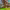 https://res.cloudinary.com/billionhands/image/upload/v1769417751/items/vrwc5htifxpd6iianggw.jpg-1cover