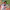 https://res.cloudinary.com/billionhands/image/upload/v1769417752/items/fzeyuipvx1edy8rqoklc.jpg-0cover