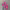 https://res.cloudinary.com/billionhands/image/upload/v1769419351/items/hgebzvjsjxuopguj6j5q.webp-1cover